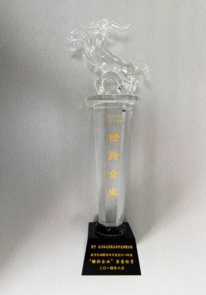 武漢市東湖高新區“瞪羚企業”